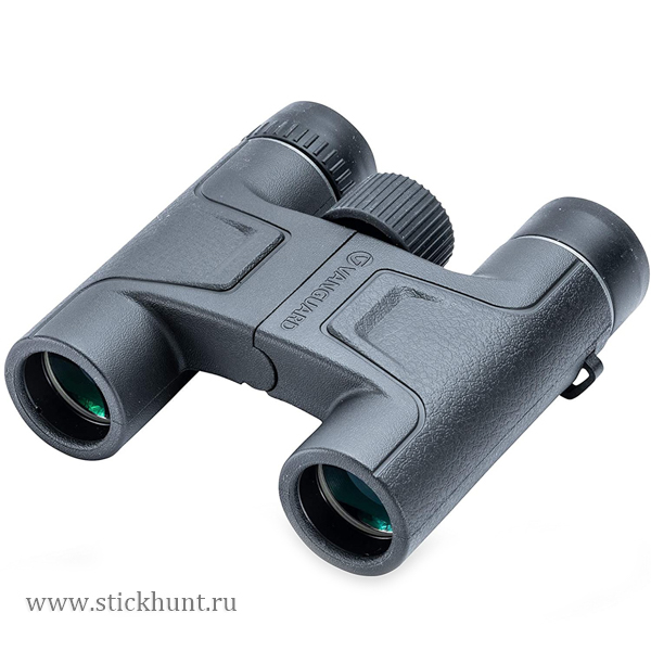 Бинокль Vanguard Vesta 10X25