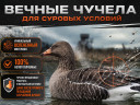 Набор чучел гусей серых NRA FUD Greylag 6 шт
