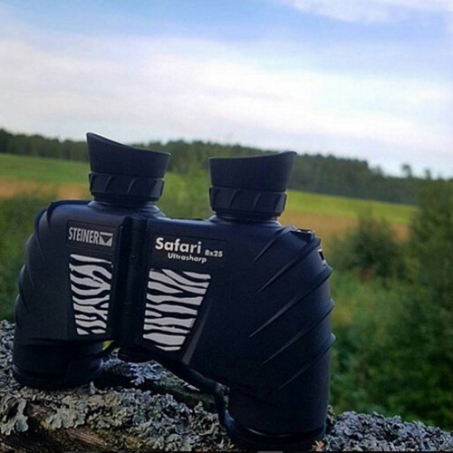 Бинокль Steiner Safari 8x25 (23320) Porro Черный