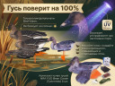 Набор чучел гусей NRA FUD Bean Goose 6 шт