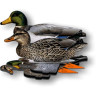 Набор чучел уток NRA FUD Mallards 6 шт