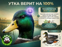 Набор чучел уток NRA FUD Mallards 6 шт