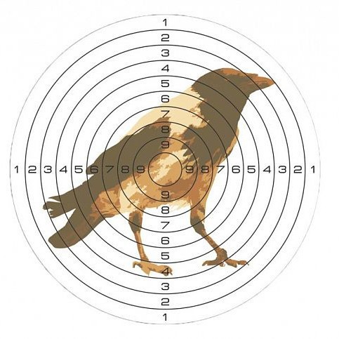 Мишень бумажная Стикхант Ворона для пневматического оружия 140x140 мм 50 шт