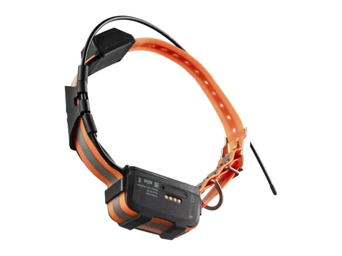 Комплект Artelv Tracker GPS / GLONASS / BEIDOU базовая станция и ошейник 2.0 W