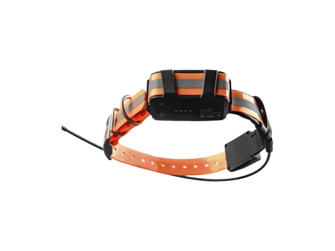 Комплект Artelv Tracker GPS / GLONASS / BEIDOU базовая станция и ошейник 2.0 W