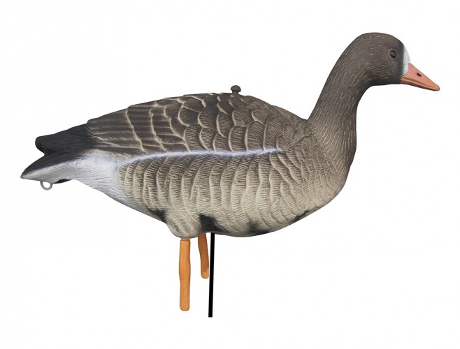 Набор чучел гусей белолобых сторожащего и кормящегося Запал Pro сминаемый 10 шт