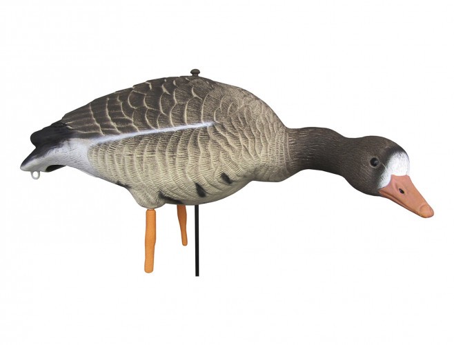 Набор чучел гусей белолобых сторожащего и кормящегося Запал Pro сминаемый 10 шт