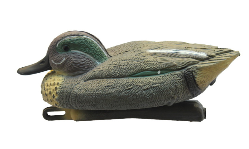Чучело чирка плавающего (селезень) Birdland