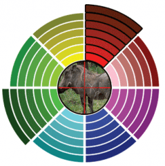 Прицел оптический Leapers UTG True Hunter IE 4-16x50 IR SFP AO WP (SCP-U4165AOIEW) Сетка Mil-Dot (Нить)