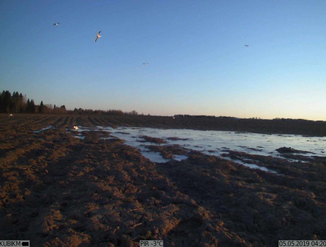 Фотоловушка для охоты и охраны KUBIK K002W 2G / Bluetooth / Wi-Fi Черный